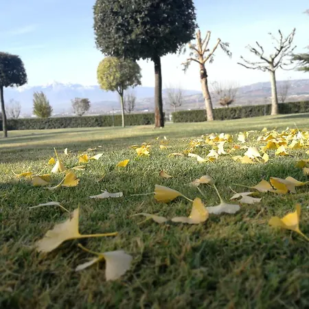 Casamia Фермерский дом